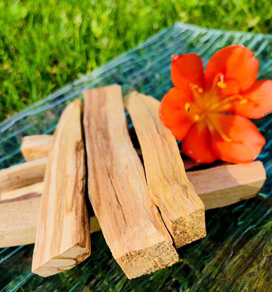 Palo Santo (Bursera Graveolens) Holy Wood Sticks.