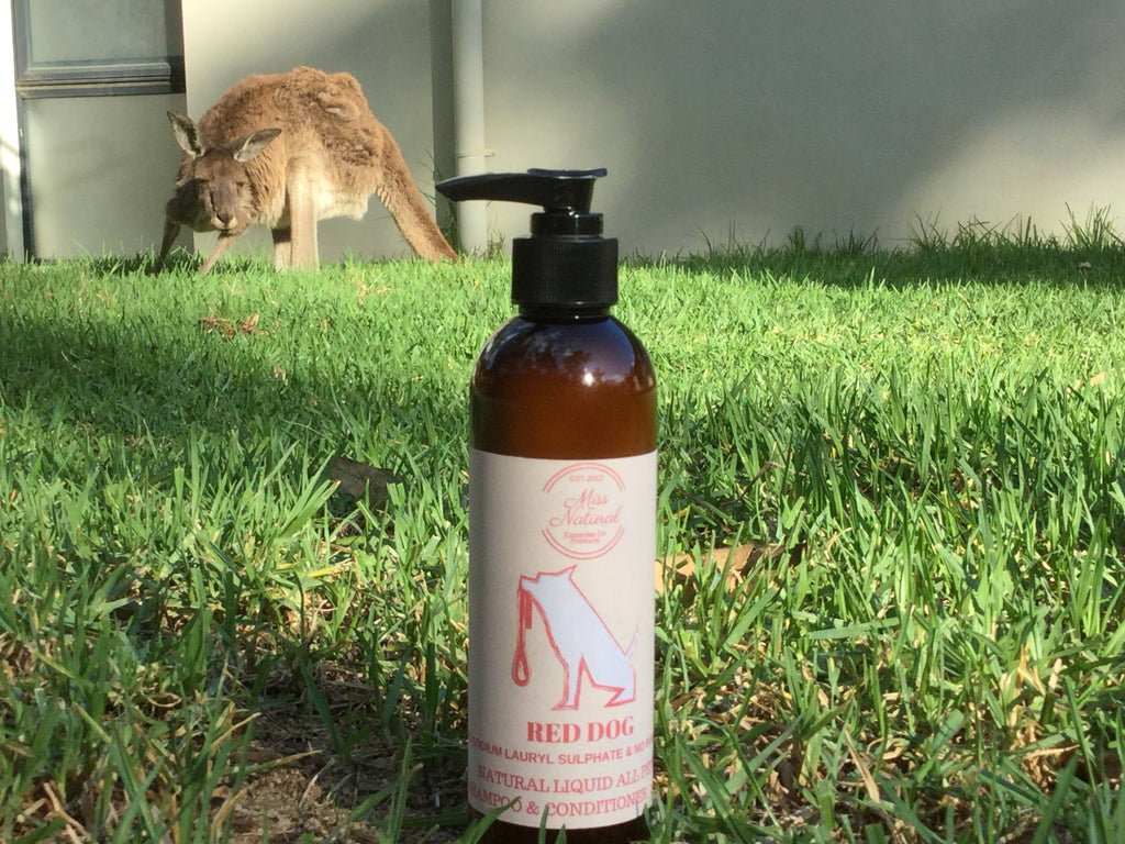 RED DOG LIQUID SHAMPOO & CONDITIONER - For All Pets